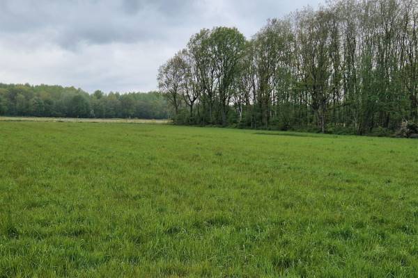 Agrarische grond Blenkert Roggel