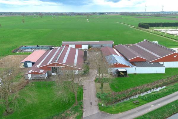 Agrarisch bedrijf Burensewal 1a Kapel-Avezaath (Gem. Buren)