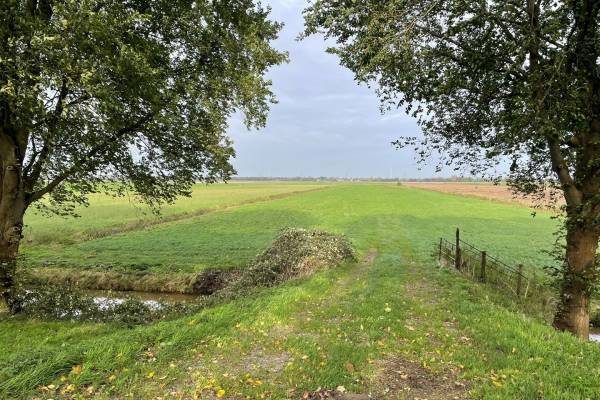 Agrarische grond Zuiddijk Maasdam