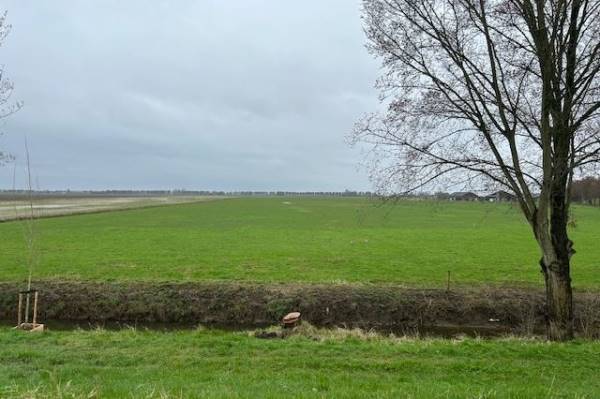 Agrarische grond Zwanegatsedijk Maasdam