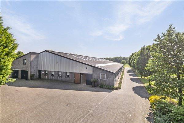 Agrarisch bedrijf Vlodropperweg 62 Posterholt