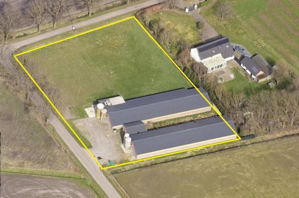 Agrarisch bedrijf Vrijkebomenweg 3b Ospel