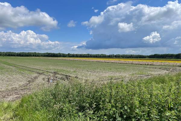 Agrarische grond Sluisweg Poortvliet