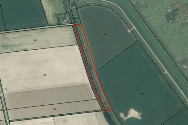 Agrarische grond Noordstraat Graauw