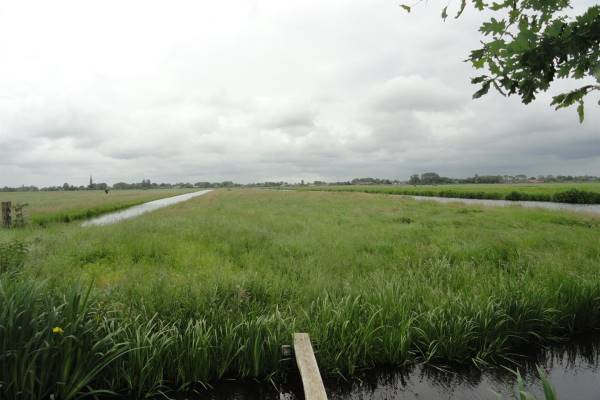 Agrarische grond Noordeinde Aarlanderveen