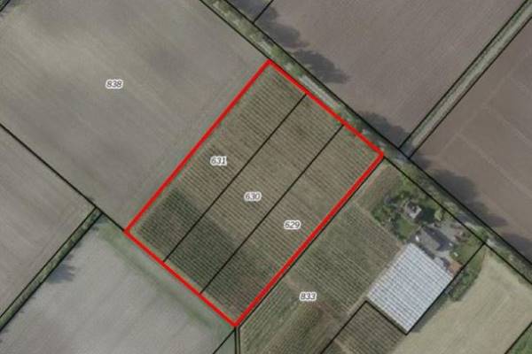 Agrarische grond Zwarteboordweg Ospel