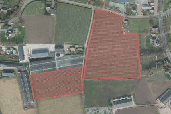 Agrarische grond Markweg Strijbeek