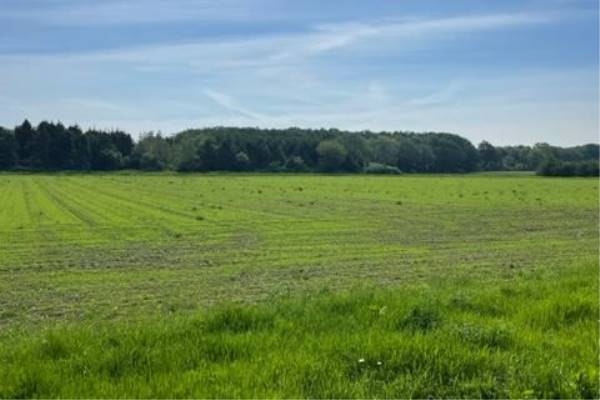Agrarische grond Grond nabij Lage Laarderweg Huizen