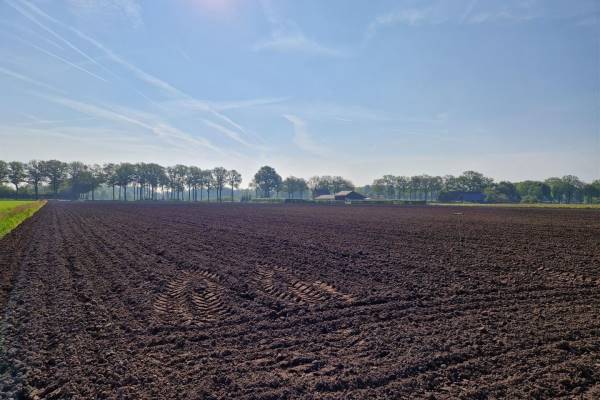 Agrarische grond Neterselseweg Bladel