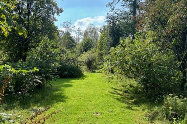 Agrarische grond Knoevenoordstraat Brummen