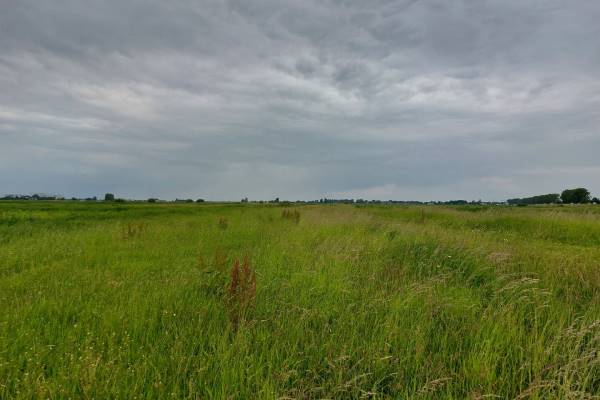 Agrarische grond Sluizerdijk Zwartsluis