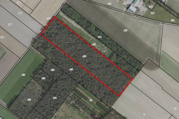 Agrarische grond Witveldweg Grubbenvorst