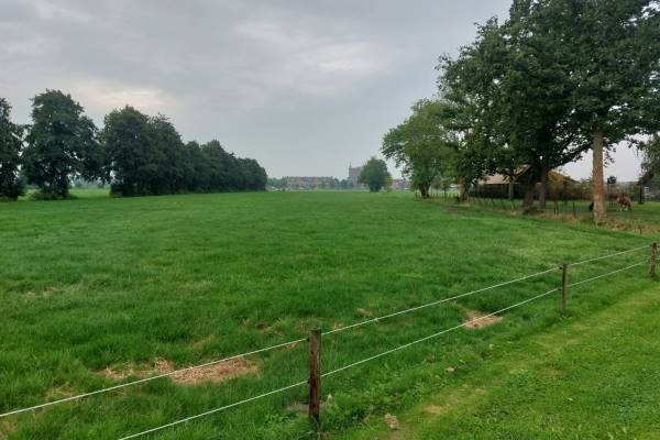 Agrarisch bedrijf Palissaden 8 Nijkerk