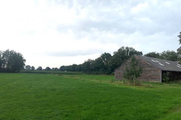 Agrarische grond Kwikkels 5 Steenwijkerwold