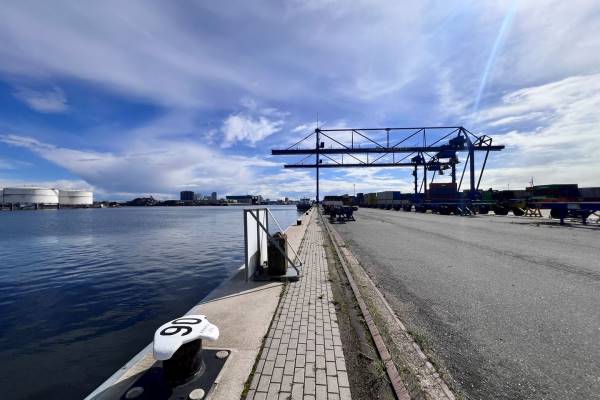 Verhard buitenterrein Corsicaweg 8 Amsterdam