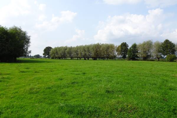 Agrarische grond Veluwsedijk achter no 4 Oene