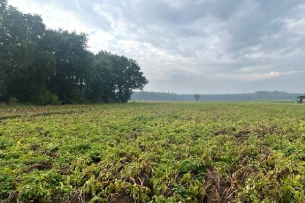 Agrarische grond Grond nabij Apeldoornseweg Otterlo