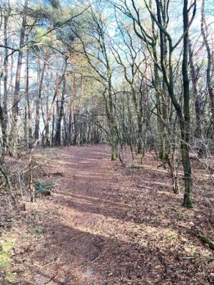 Agrarische grond Grond nabij Boveneindseweg 9 Kootwijk