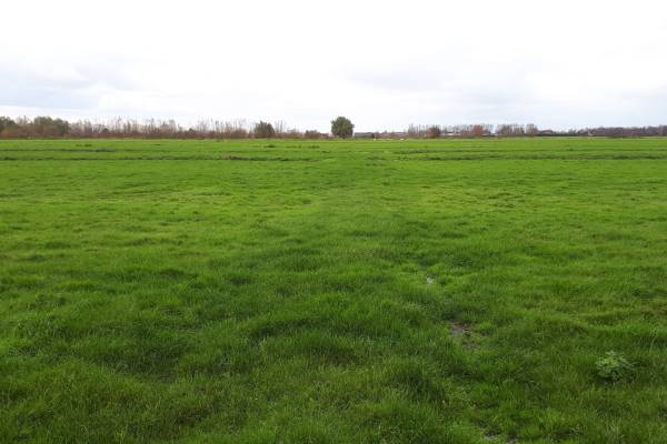 Agrarische grond Provincialeweg Bergambacht