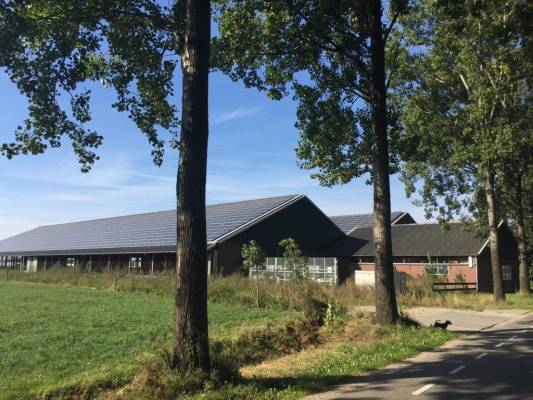 Agrarisch bedrijf Kleine Veldstraat 6 Angerlo