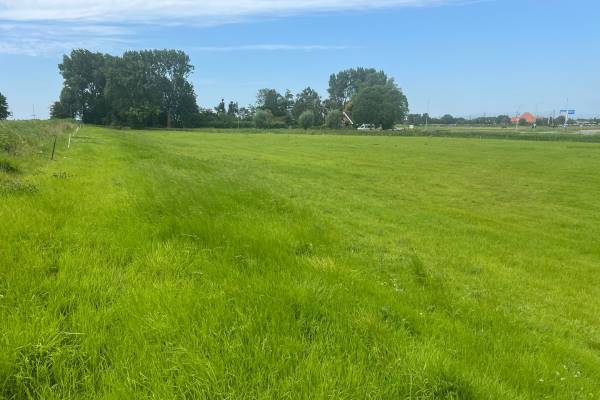 Agrarische grond Middenweg Dirkshorn