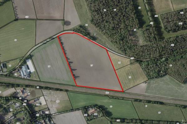 Agrarische grond Mildert Nederweert