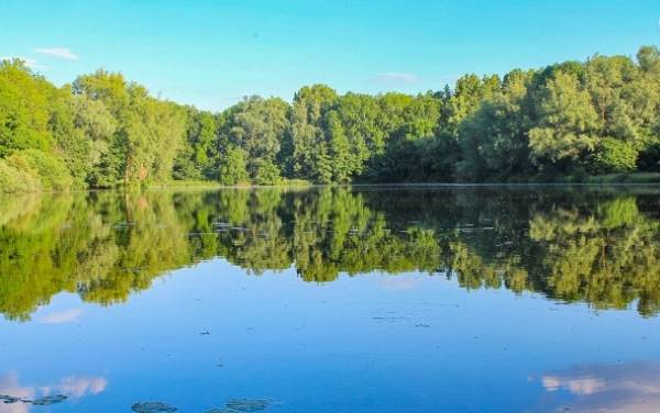 Agrarische grond Molenweg Lage Zwaluwe