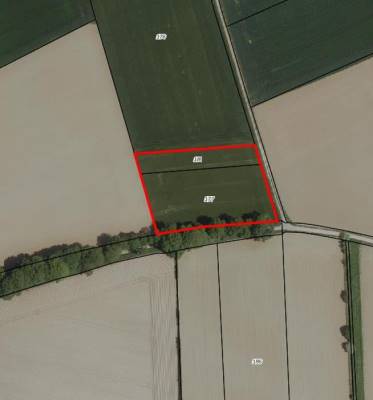 Agrarische grond Papehei/Mussenputsweg Margraten