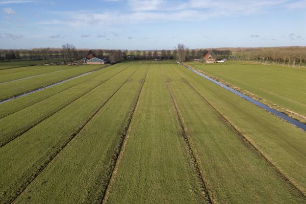 Agrarische grond Oosterweg M 8-m Purmer (Gem. Waterland)