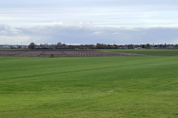 Agrarische grond Waaldijk 3 Andelst