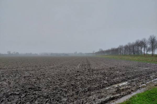 Agrarische grond Oudendijk Piershil