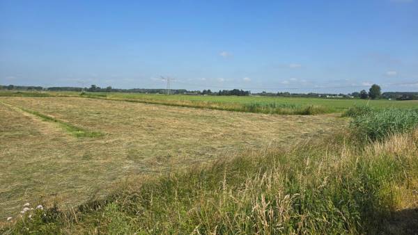 Agrarische grond Nieuwe Weg Wamel