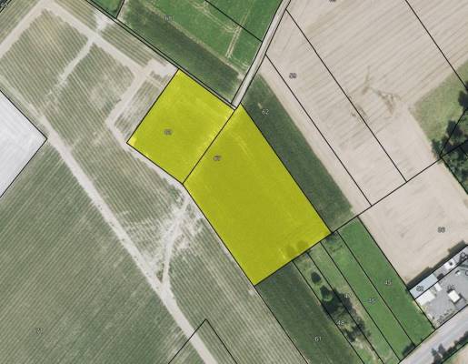 Agrarische grond Lange Reinweg Nuth