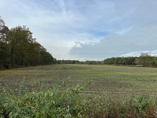 Agrarische grond Scholtemaatweg 13-nabij Winterswijk Ratum