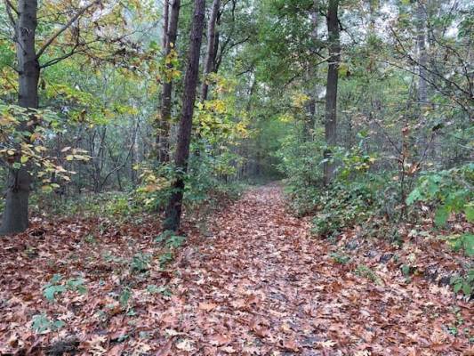 Agrarische grond Landmansweg Holten