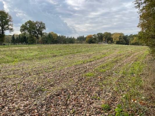 Agrarische grond Kappertsweg Holten
