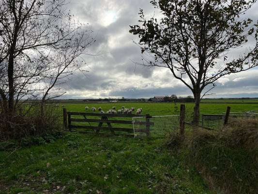 Agrarische grond Percelen bij Waterweg Den Burg