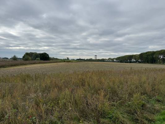 Agrarische grond Watertorenweg Werkhoven