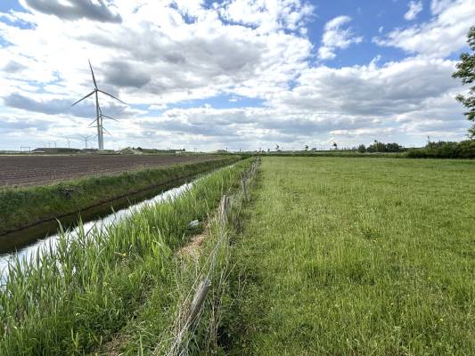 Agrarische grond Markkade Waardenburg