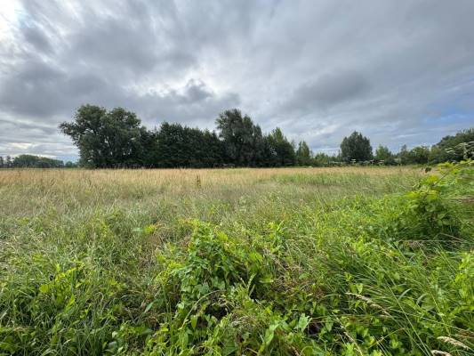 Agrarische grond Blekerdijk Nuenen
