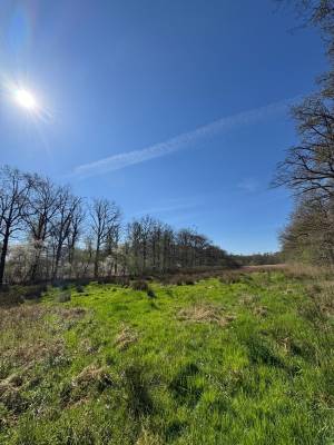 Agrarische grond Gommelsestraat Biezenmortel