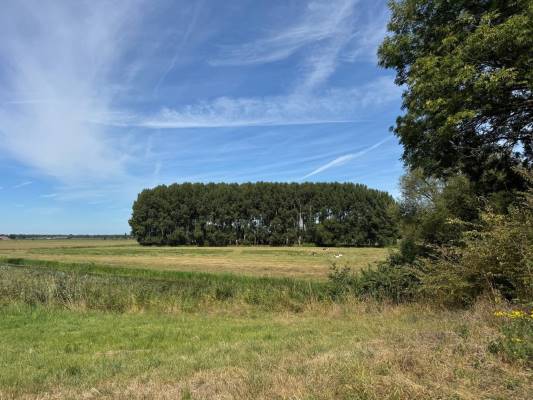 Agrarische grond Zeedijk Elshout