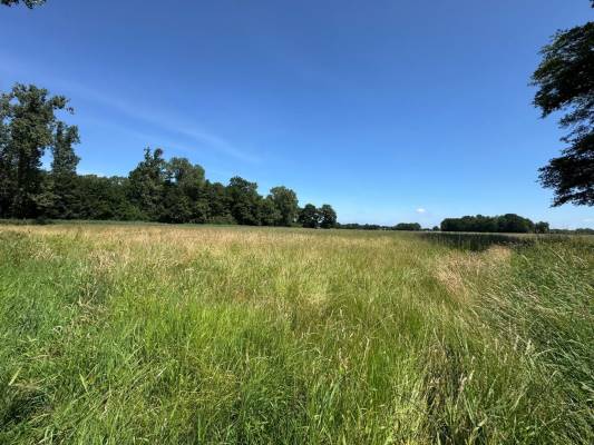 Agrarische grond Gastelseweg Budel