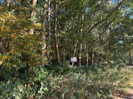 Agrarische grond De Korstbroeken Hoogeloon