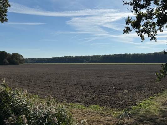 Agrarische grond Oud Emmeloorderweg Nagele