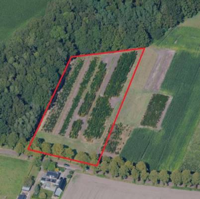 Agrarische grond St. Jorisstraat Oost West en Middelbeers