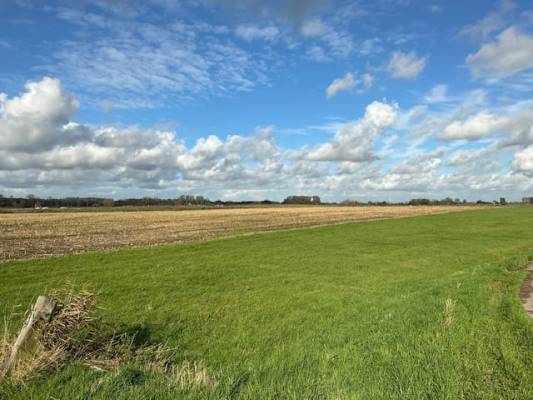 Agrarische grond GROND Zomerdijk Noordeinde (GE)