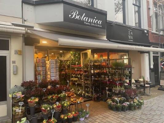Winkelruimte Frederik Hendriklaan 248 Den Haag