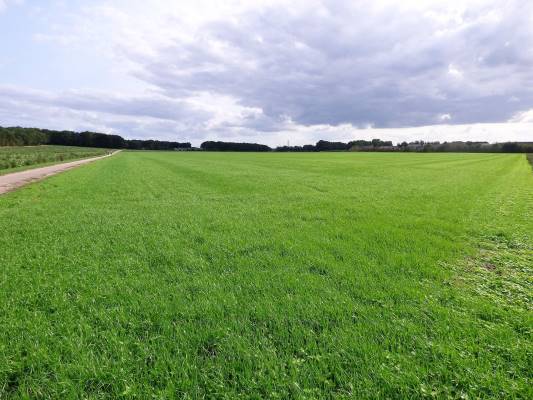 Agrarische grond Autoweg Rhenen