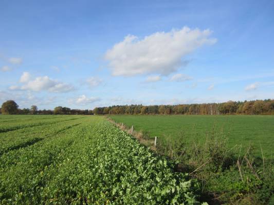 Agrarische grond Weseperenkweg 3 Wesepe